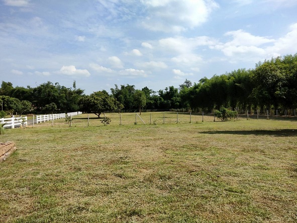 Land For Sale Chiang Mai 3