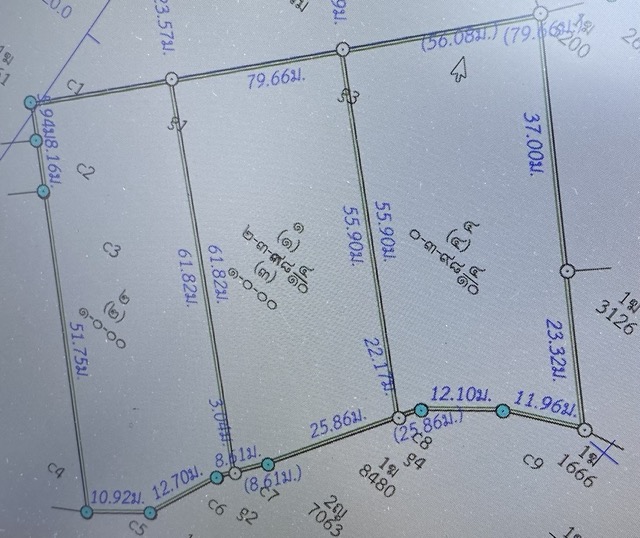 IMG_8162 copy Medium