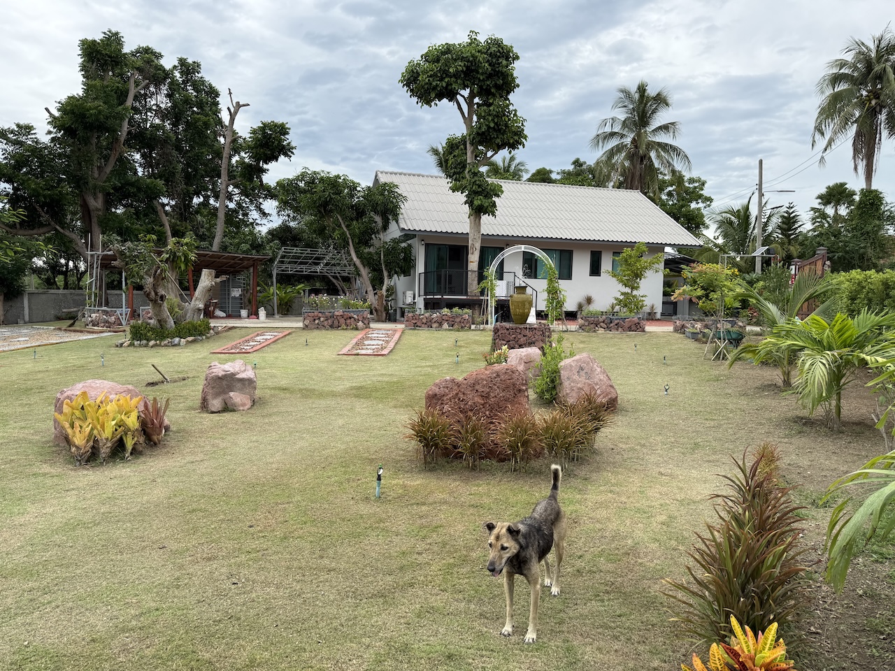 H front view from garden